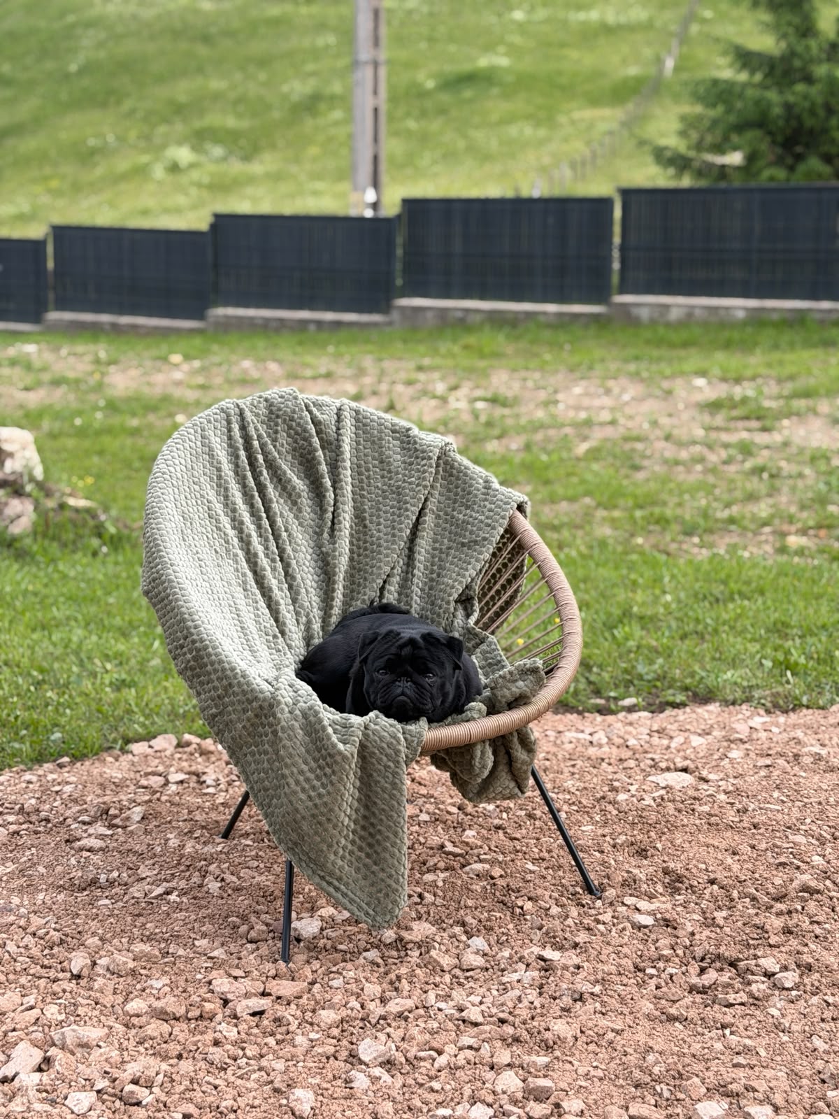 Fire Pit